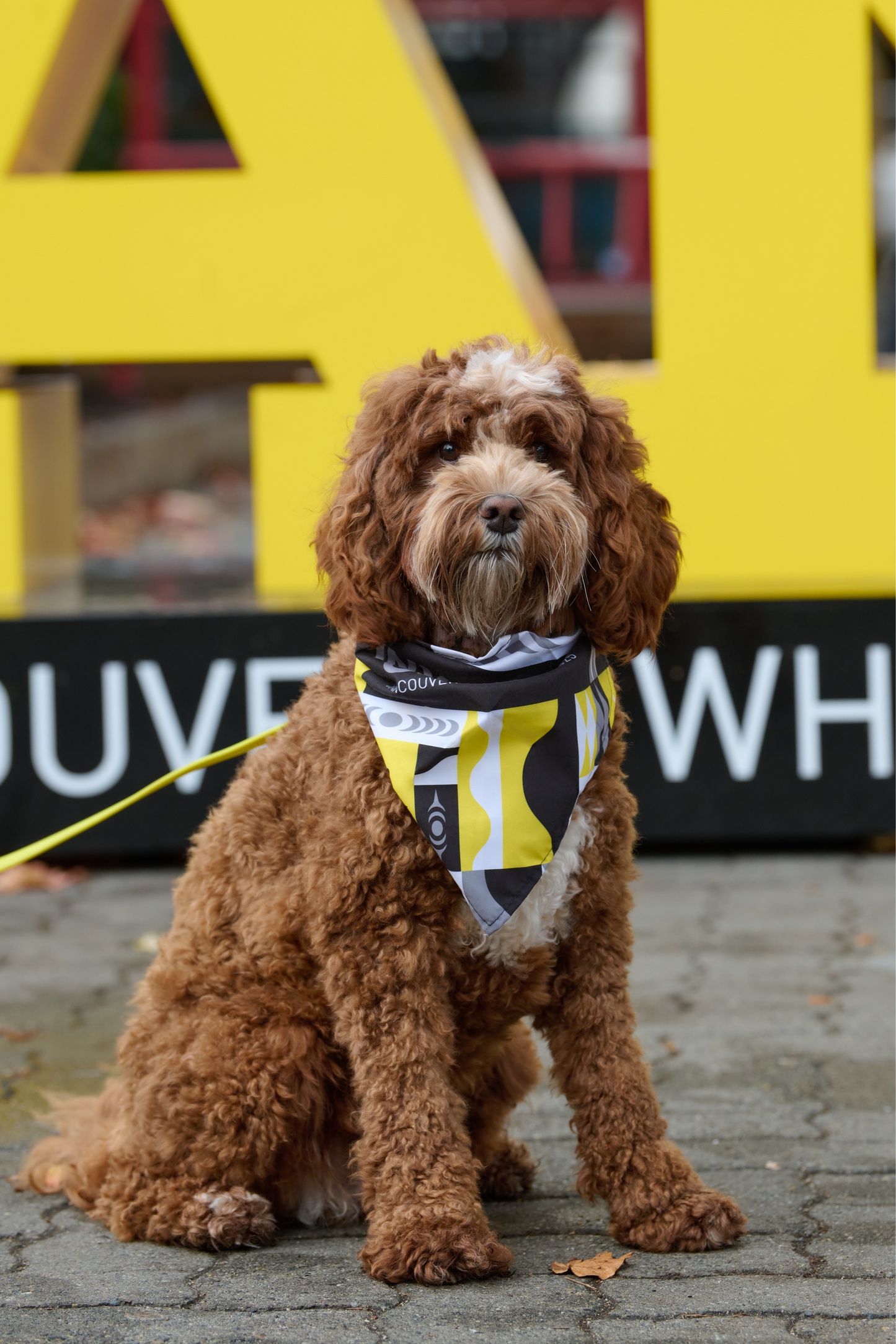 Invictus Games 2025 Dog Bandana